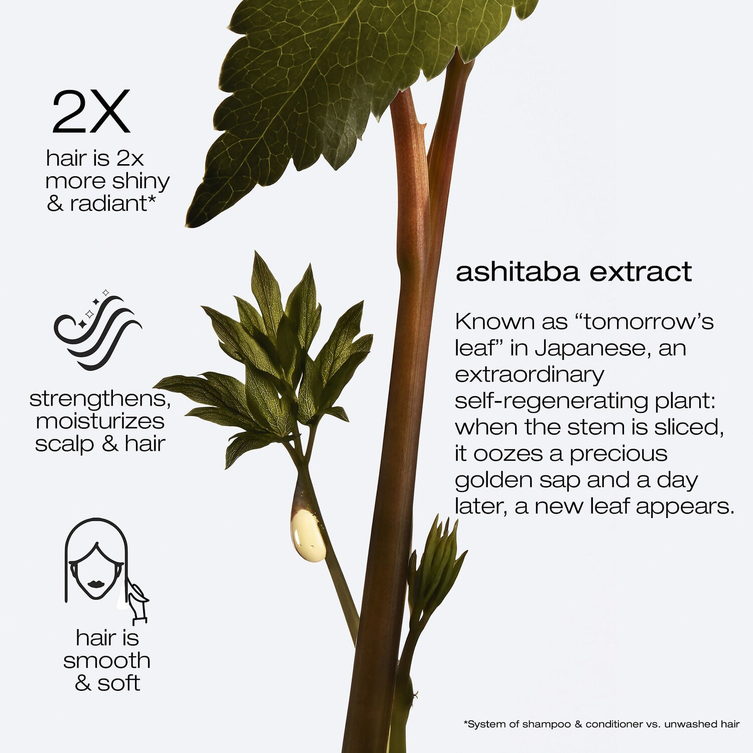 Ashita Supreme Strengthening Leave-in Treatment For Damaged