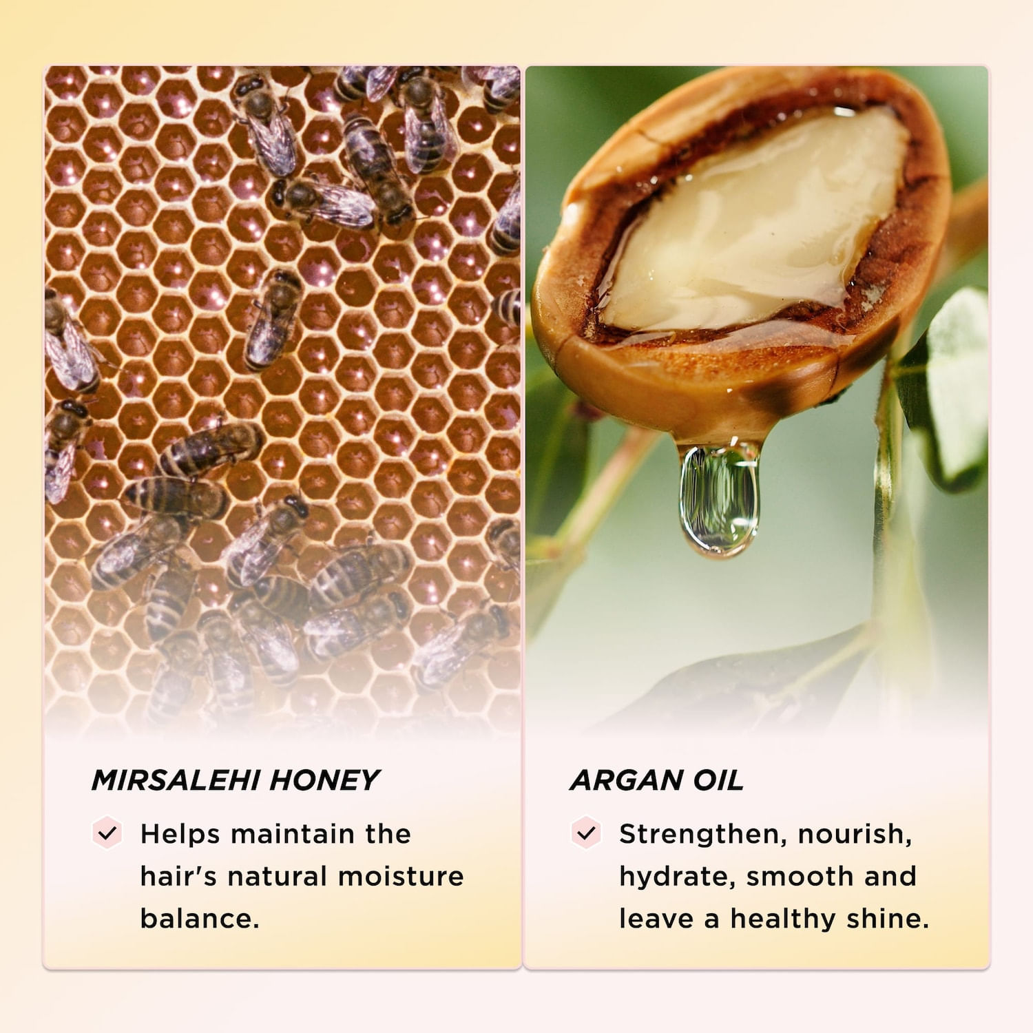 Honey Infused Hair Perfume Wildflower Honey – Gisou EU