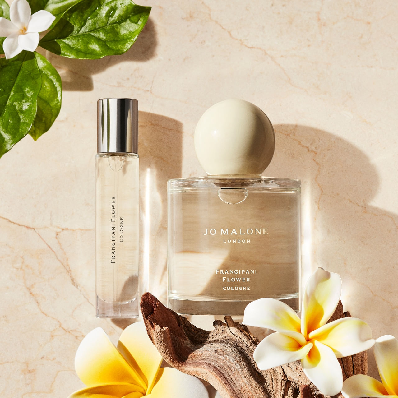 限定 Jo Malone Frangipani Flower 100ml Frangipani Flower Cologne | Jo Malone London