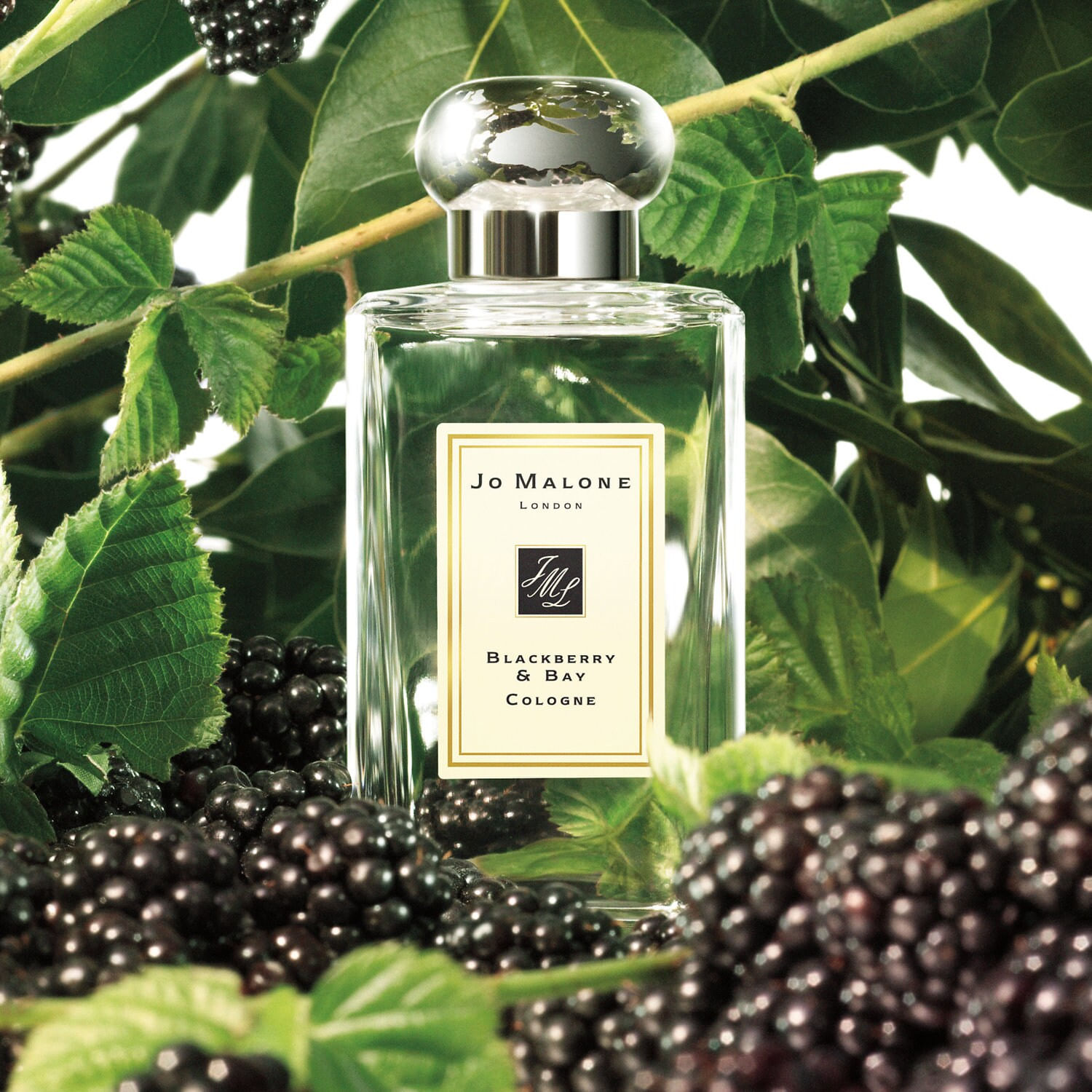 Blackberry & Bay Cologne 9ml | Jo Malone London