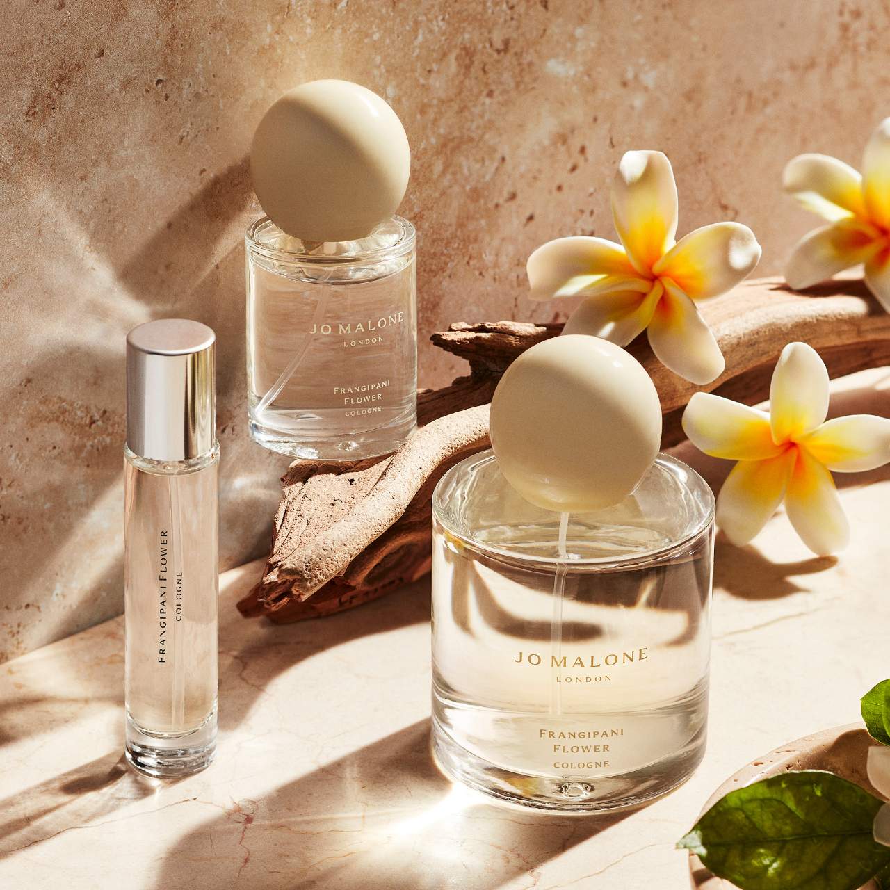 Frangipani flower 100ml Limited edition - Copy › Scott Miller