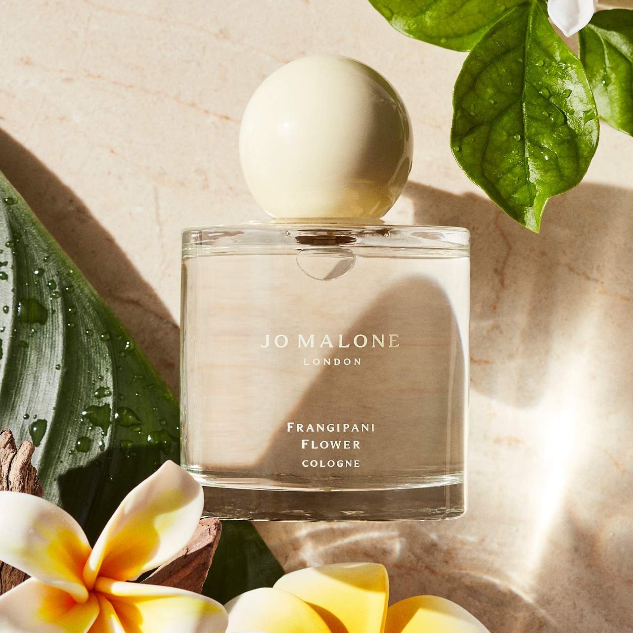 【メール便不可】 Travel Cologne Flower Frangipani Spray Shop Daily Oprah | 香水(女性用)