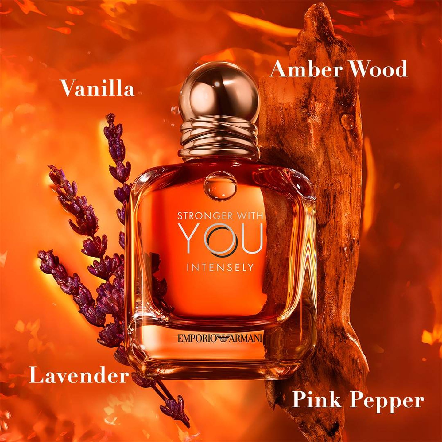 Stronger With You Intensely Cologne Gift Set | Oprah Daily Shop