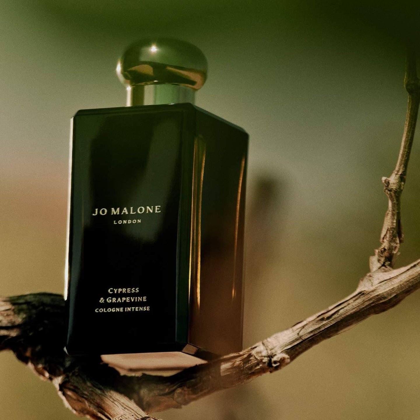 Cypress & Grapevine Cologne Intense | Oprah Daily Shop