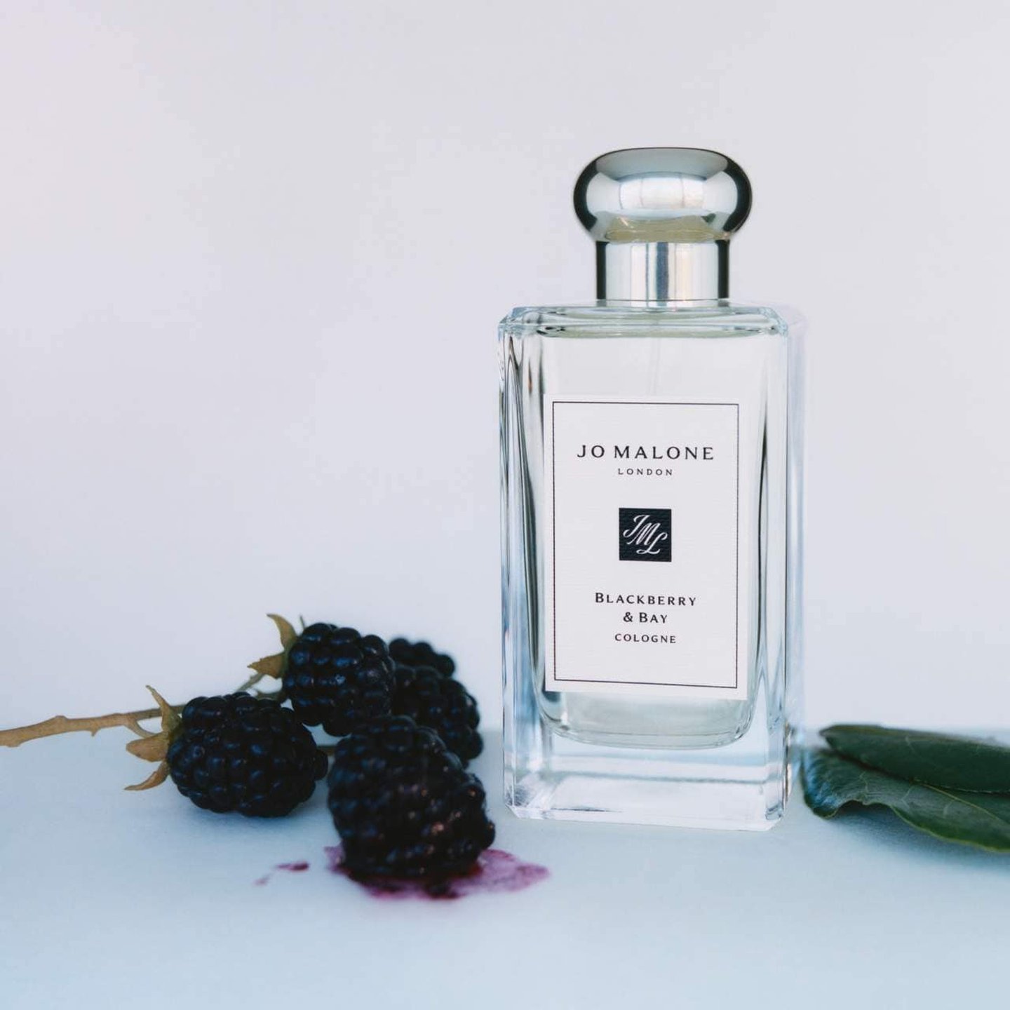 Blackberry & Bay Cologne | Oprah Daily Shop