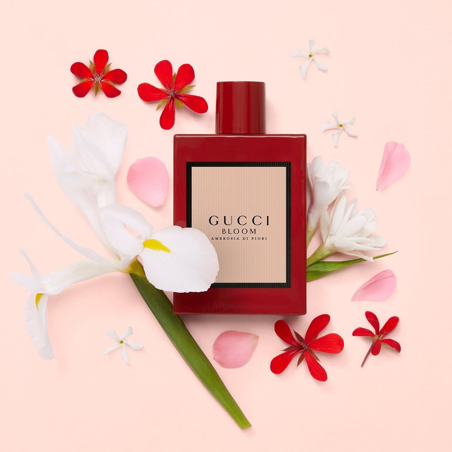 【限定特価】 Gucci Bloom Ambrosia Di Fiori Eau De Parfum Intense Travel 香水(女性用)