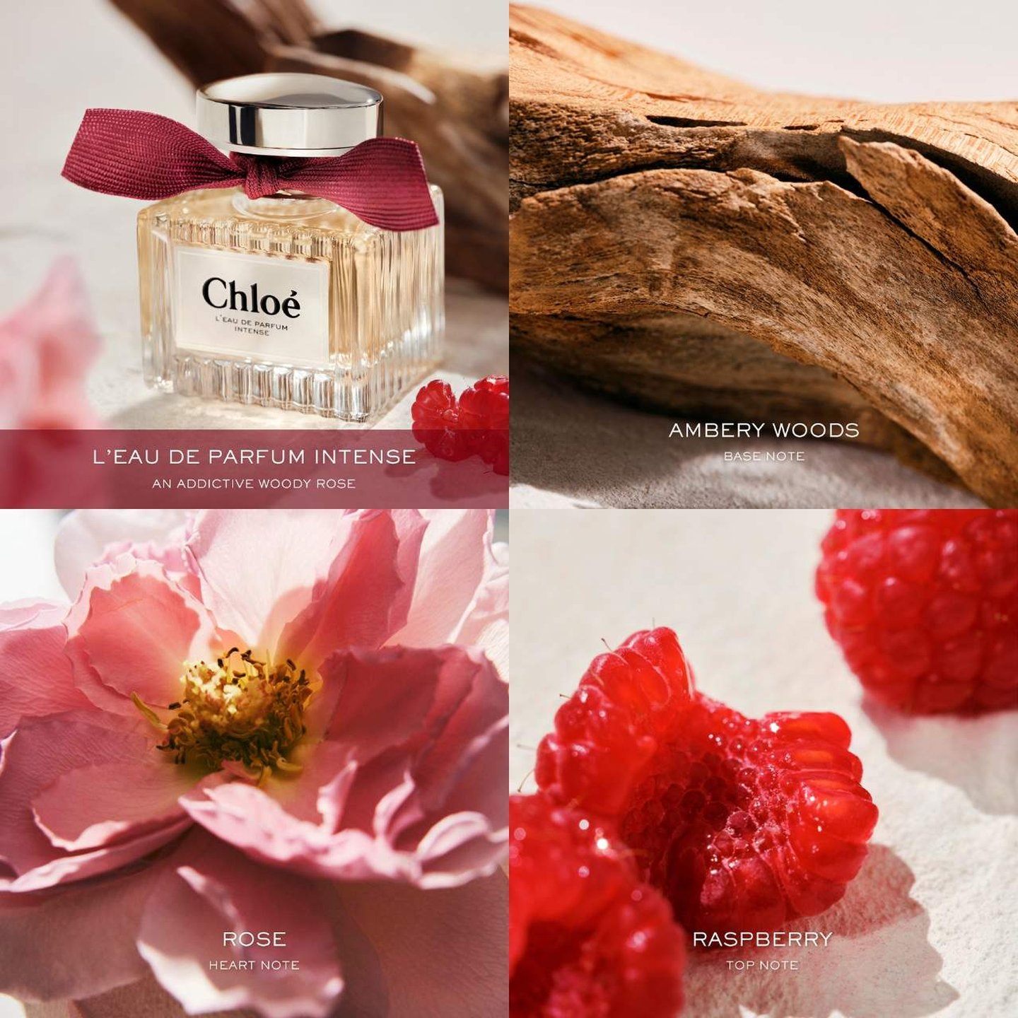 Chloé L'eau De Parfum Intense With Raspberry, Rose & Amber