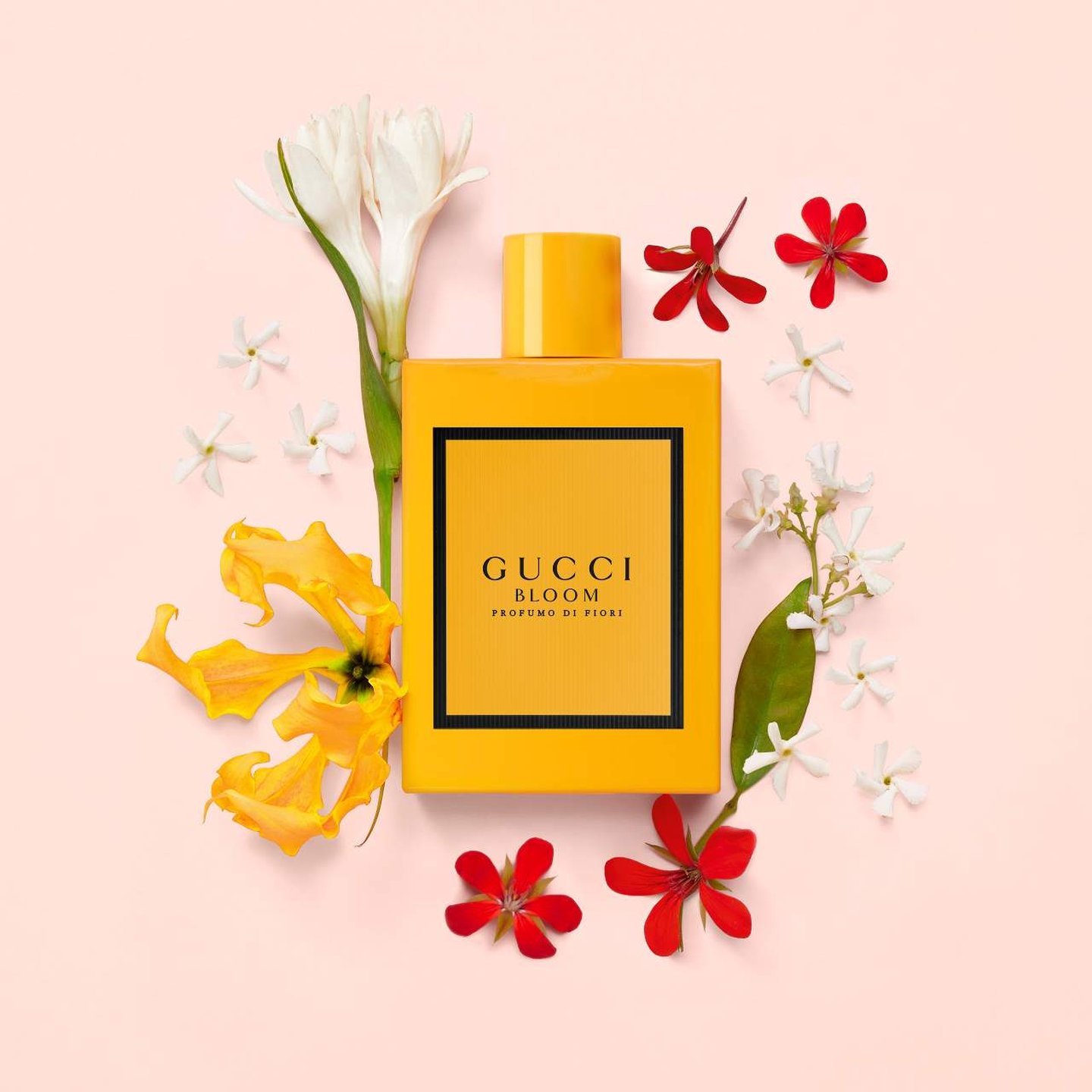 国内外の人気集結！ Profumo Bloom Di Oprah | Spray Travel Parfum De Eau Fiori 香水(女性用)